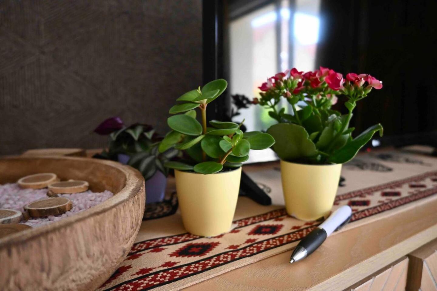Cosy Apartment Near Strasbourg Mommenheim Bagian luar foto